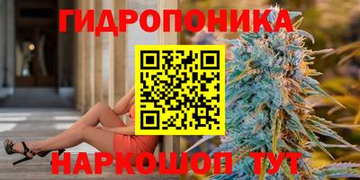 бошки Аргун