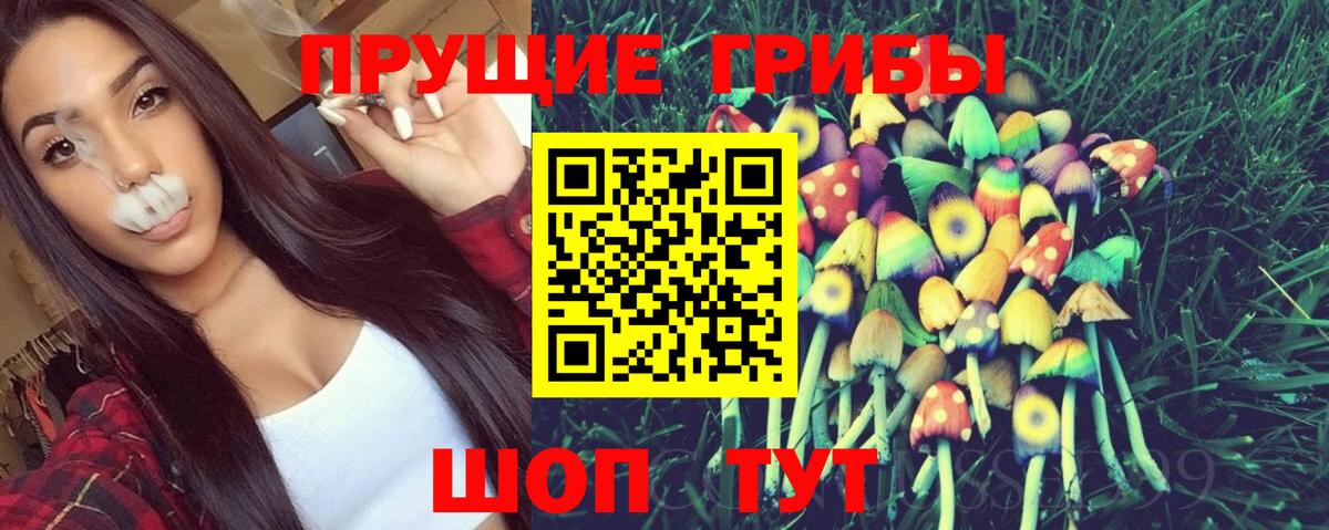 где можно купить   Псилоцибиновые грибы прущие грибы  Вход с VPN  Богородск 