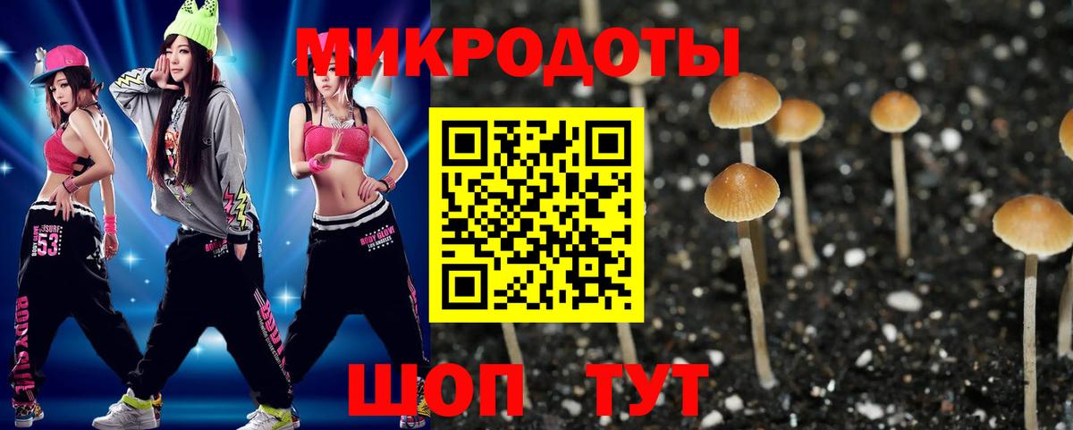 Псилоцибиновые грибы ЛСД Богородск